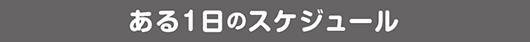 ある１日のスケジュール